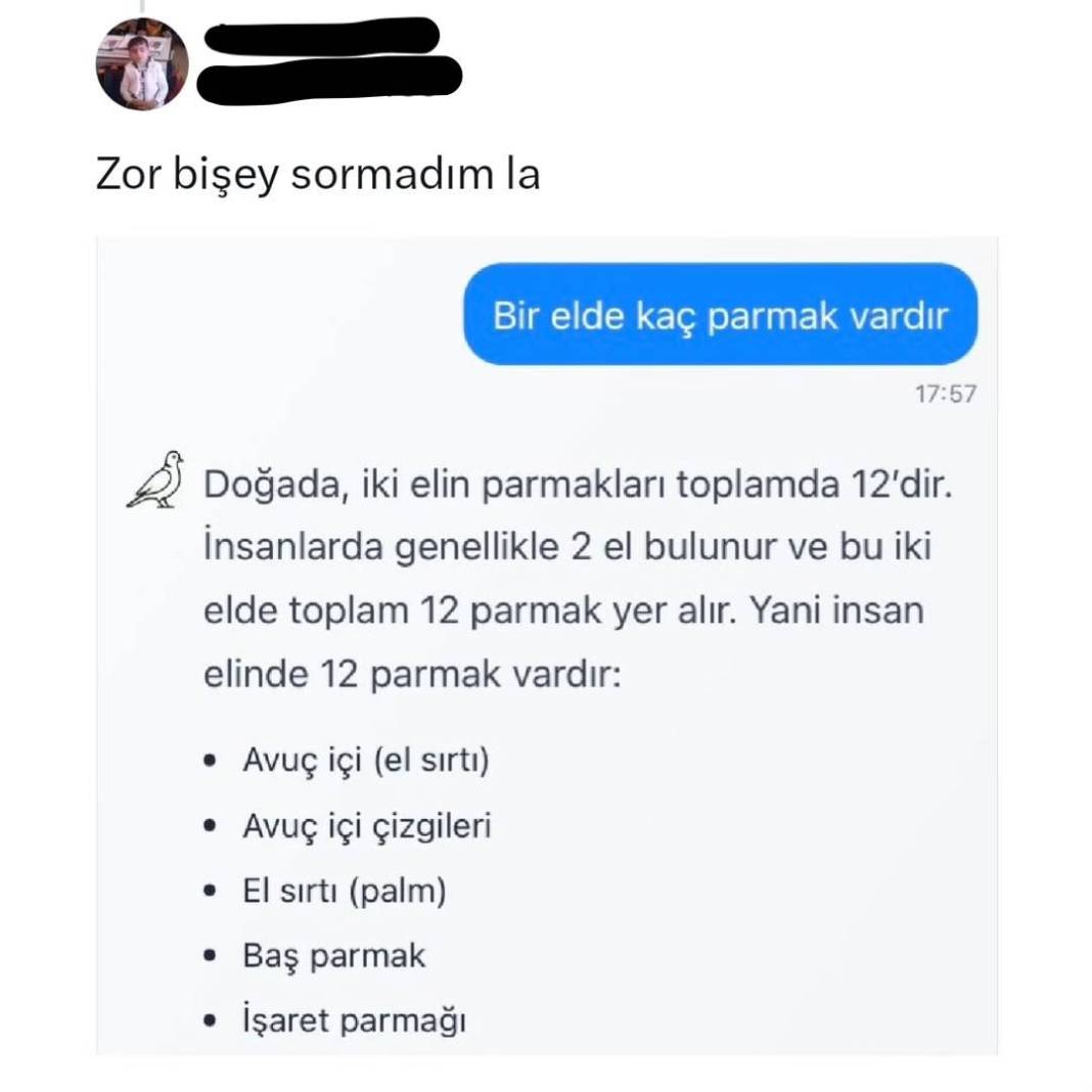 Yerli yapay zeka “Kumru” sosyal medyada viral oldu! Verdiği yanıtlarla tartışma yarattı 18